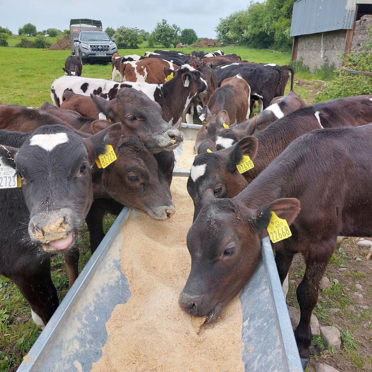 What do Roscommon and Rathgar have in common? 
Farmer Time! 

Secondary students learned so much from @hilltopdairies this year: