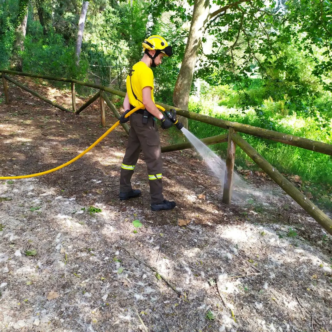 ADF Torrelavit 304 tweet media