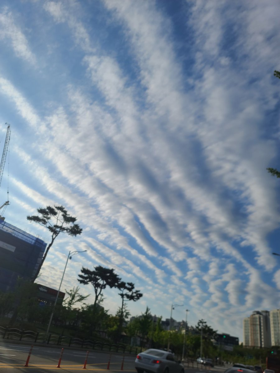 지진운?

#지진 #지진운