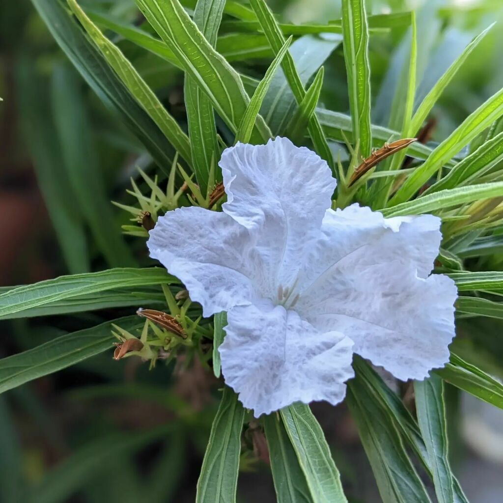 instagr.am/p/CeBX6HVOHy2/