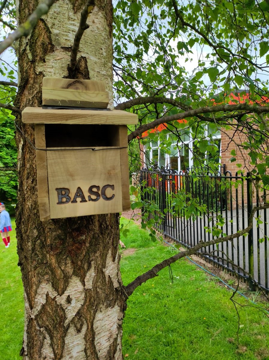 BASCNorth's tweet photo. BASC North RO Gavin Howe & Ian Bretherton joined up with the teachers & pupils at Howick C of E Primary School to help them site 12 BASC bird boxes in their new Forest school.
The schools Deputy headteacher said" Was a great day, perfect for all ages" #BASCtoschool #BASCbirdbox https://t.co/RY9mLbUffn