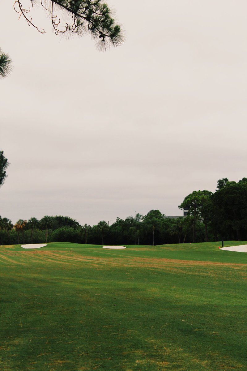 GlobalTurfEquip's tweet photo. Great to see the new work done by the team at @FEATHERSOUND_CC in St. Petersburg. Course is looking good!

Entire golf course mowed in one day with the @TrimaxMowers Snake S2. 

Rent or Demo this unit- we highly recommend it! https://t.co/18vqKcLVFE
