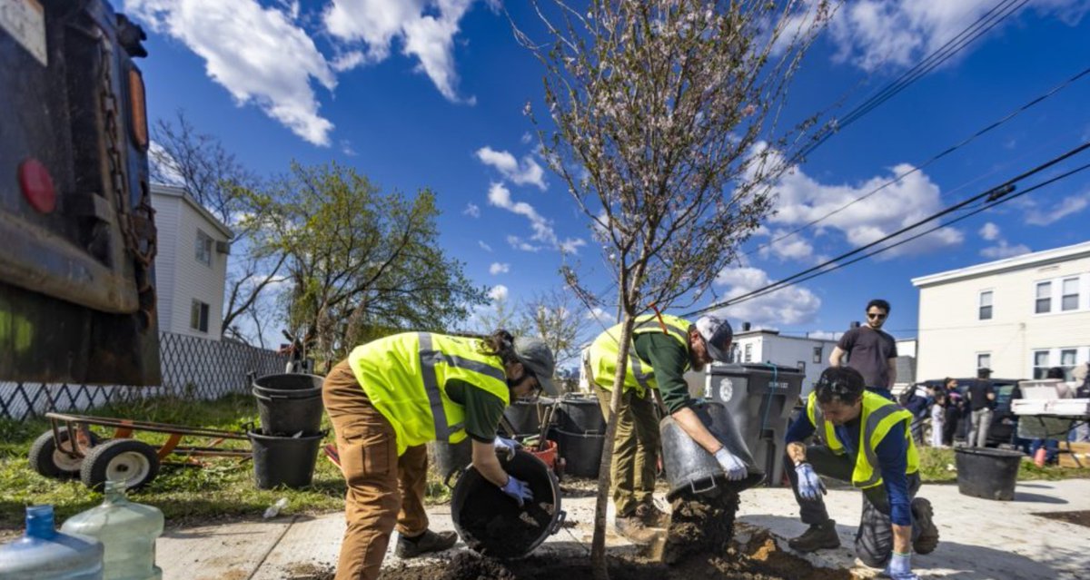 IMPACTMelanoma's tweet photo. A group called @GreenRootsEJ collaborating with the city of Boston and researchers at Boston University to reduce the risks of extreme heat in vulnerable Boston neighborhoods: https://t.co/11SGJyznhW
🌳⛱🕶️🌲
#MelanomaAwarenessMonth #CatchShade #IMPACTShade #ShadeEquity https://t.co/j8nYH3qmL8