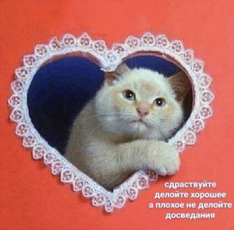 devel_27's tweet photo. @skaivok @tomnaya_satana @TinToBraZz1 https://t.co/4gTGKN4MMc