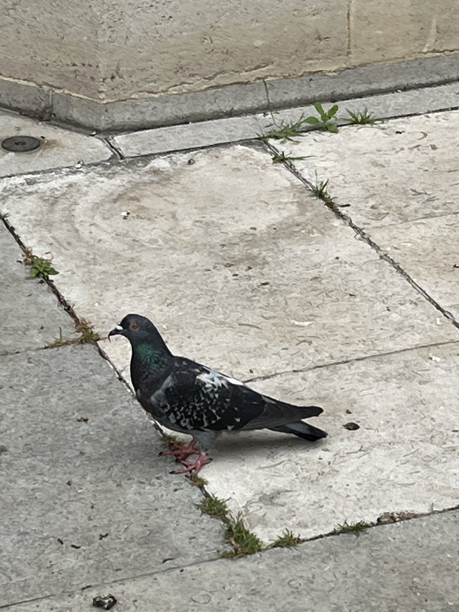 John Monks #closerapart tweet media