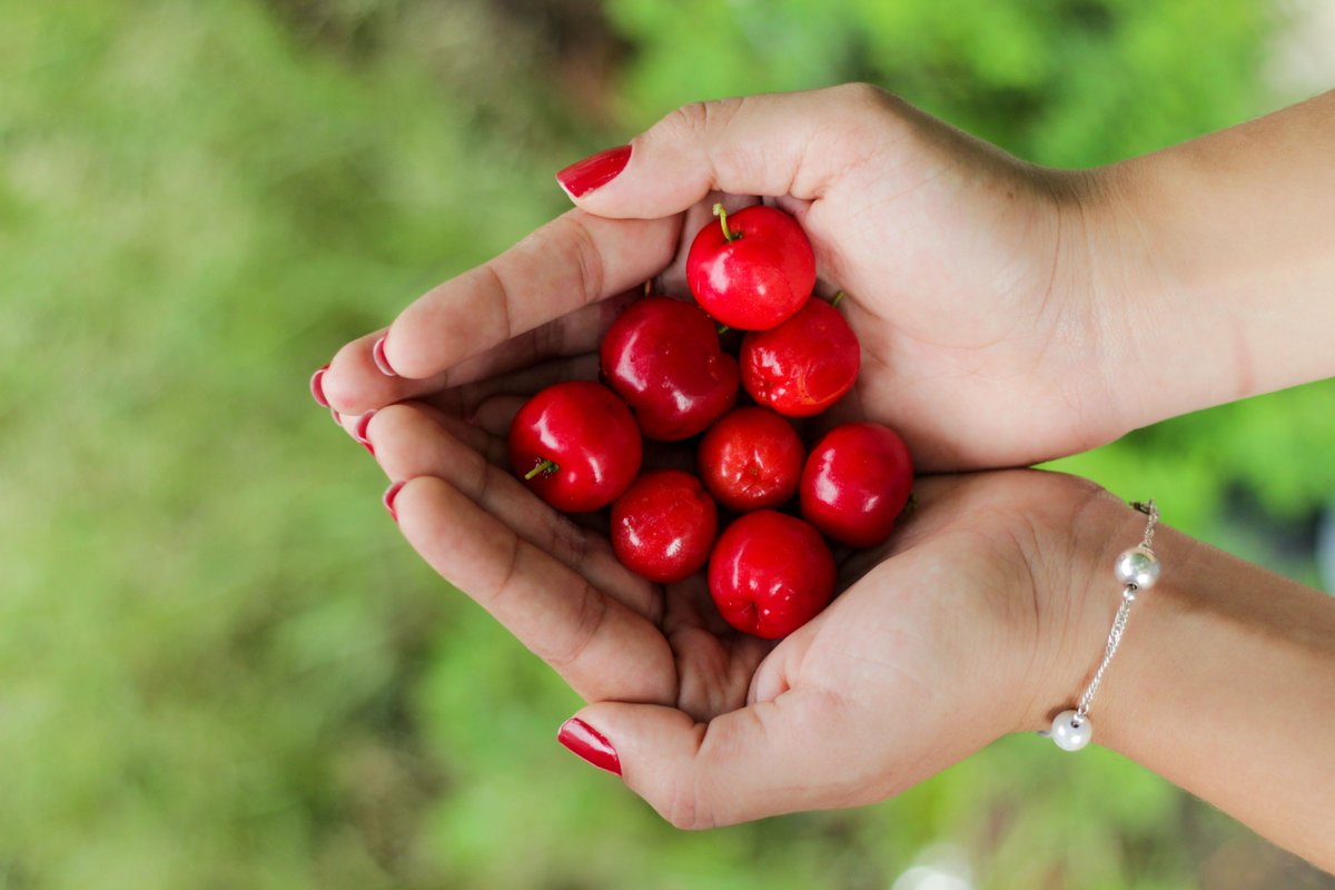 GhidNutritie's tweet photo. Ciresele - numar de calorii, compozitie nutrienti, vitamine si minerale. Principalele beneficii - citeste mai mult pe https://t.co/Vf2LOfyQba
https://t.co/GITU6ENQQI
#cherry #cirese #fructe https://t.co/aLp5yX8i4b