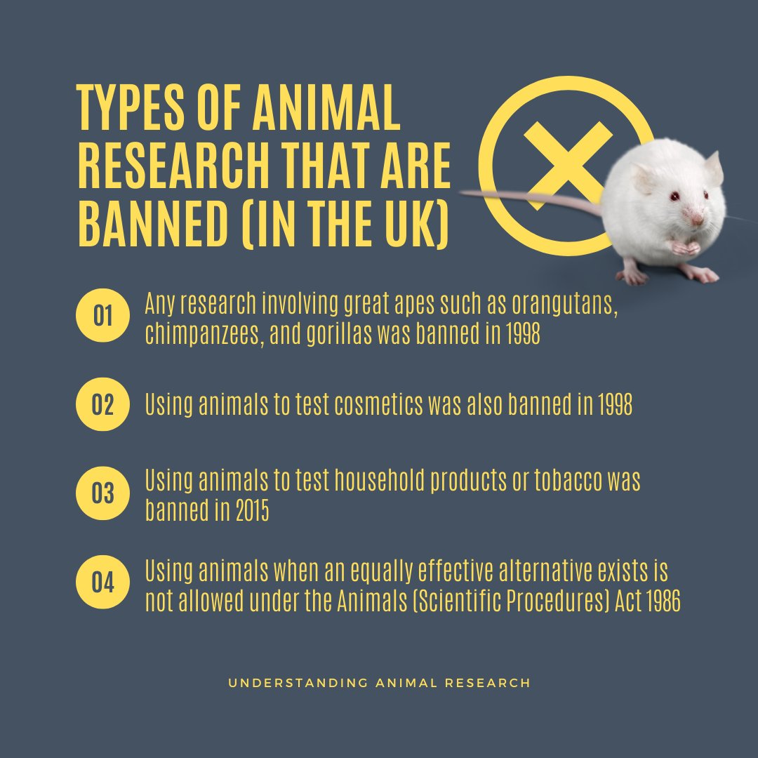 Types of #AnimalResearch that are banned in the UK: 1. Research using great  apes 2. Testing cosmetic and household products (YES! Since 1998!) 3. Testing  tobacco products 4. Using animals when an