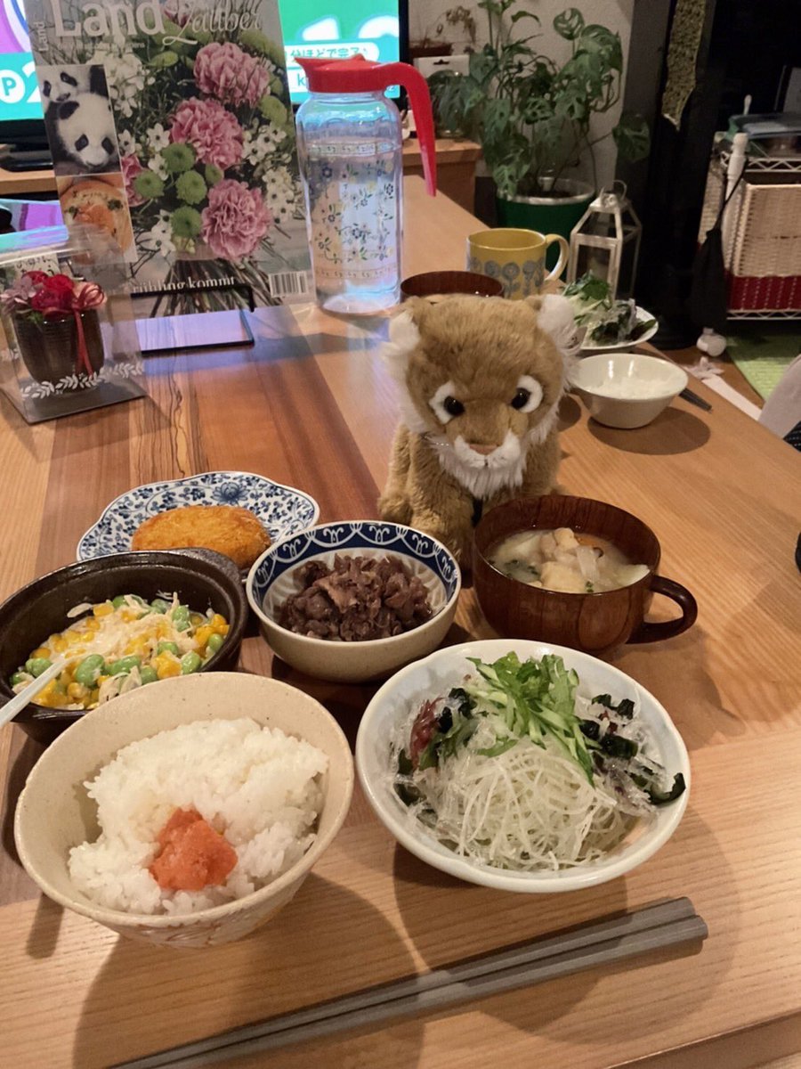 Melanie 🐯 tweet media