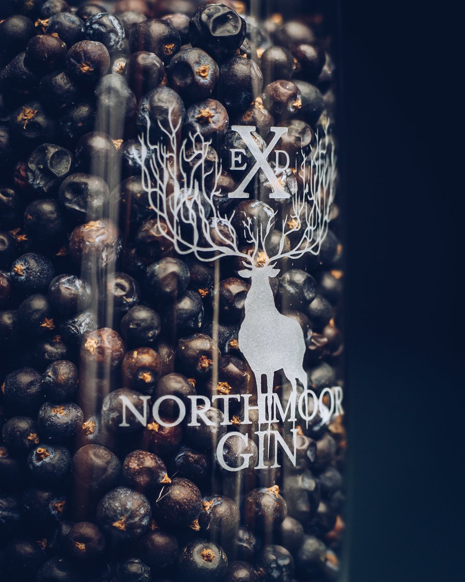 The Juniper used here at Exmoor Distillery is sourced in Macedonia and provides the base flavour for our stunning Gins. Only the best botanicals are included in our award winning gins. 🌿 Find out more at exmoordistillery.co.uk #Exmoor #Gin #GinLovers #FoodAndDrink