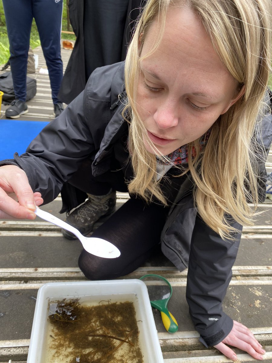 Pond Dipping! <a href="/ILSCITT/">Inspiring Leaders Teacher Training</a>