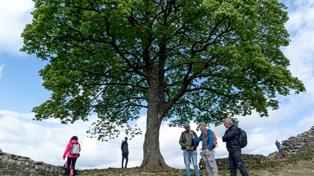 D6culture's tweet image. We’ve been out along #HadriansWall with @hennaasikainen and community participants new to the North East - taking time to explore, forage and to share with one another. More here: ow.ly/c73n50JiuXf
Photos: @SceneBySimone 
#WhoWeAre #TogetherWithRefugees