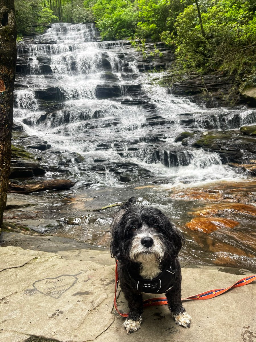 AlisonWSB's tweet photo. I really enjoyed hiking Angel Falls, Panther Creek Falls, & Minnehaha Falls (which the pictures are from… shoutout to the friendly hikers for the photo .)
Where should I go next ? #hikega #exploregeorgia https://t.co/OGffMiLLHe
