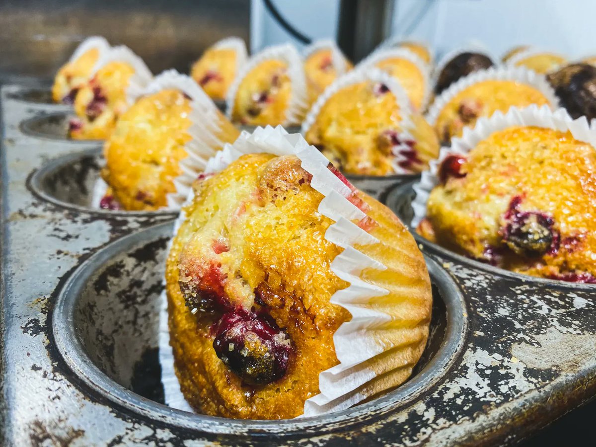 ParkAveCoffee's tweet photo. Our Cranberry Orange muffins are one of our favorites. It’s a perfect addition to your morning latte. https://t.co/KhP5JOhFu7