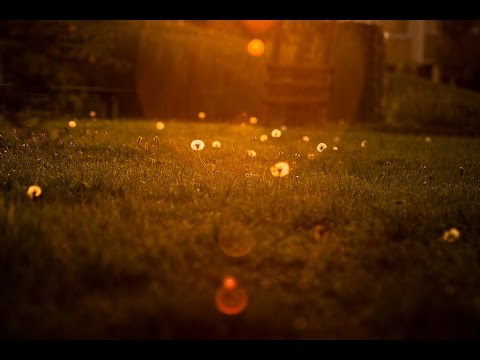 GESTI DI RIVOLTA 2022_MAGGIO su letteratemagazine.it/2022/05/26/ges…
Quel mondo a modo suo

Se la vedi con i suoi occhi tondi poggiati sul suo viso, narrano storie dure.
Ossuta, minuta con i capelli...