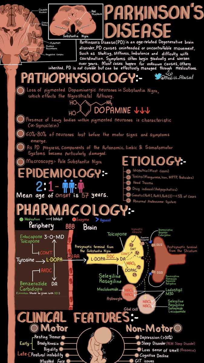 medics_AbuSaif's tweet photo. محاضرة مرض الباركنسون او الرُعاش “Parkinson’s Disease” مُلخصة بصفحة 🧠… https://t.co/loGJoz5dE0