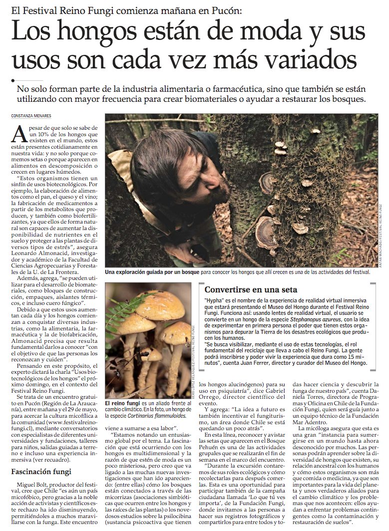 VCT_ElMercurio's tweet photo. El Festival Reino Fungi 🍄 comienza mañana en Pucón y tiene por objetivo acercar la cultura micofílica a la comunidad. #VCTElMercurio #ReinoFungi #Hongos https://t.co/IBbD7KBG7b https://t.co/JaoqkbPHwj