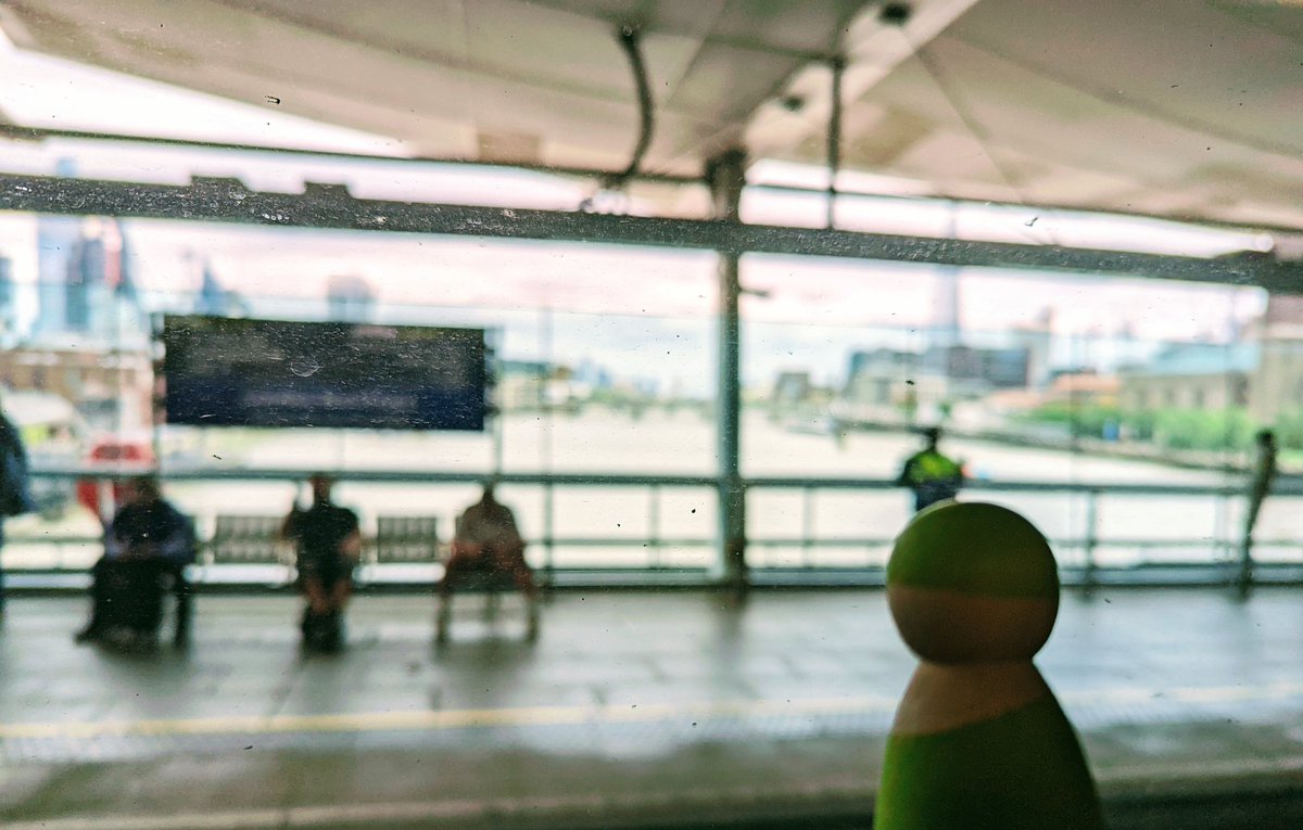 Violet Littlewood tweet media