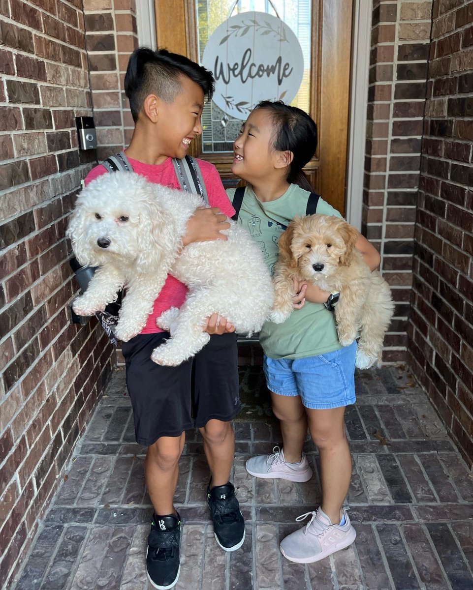 Julee Chang tweet media