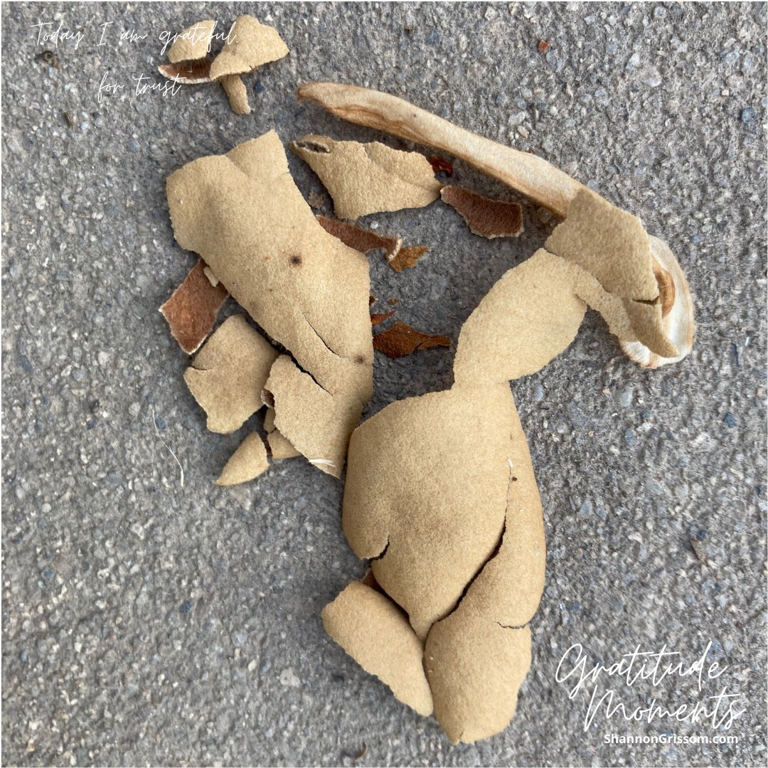 ShannonGrissom's tweet photo. There was something about the way the leaves fell that intrigued me. Dwight asked what I saw in the scene and I  I really didn't know. I was simply compelled to capture it.  Once I arrived home  I noticed the https://t.co/djxlmHb0V2 I am grateful for trust. #gratitude  #trust https://t.co/9yrQ7ylD5J