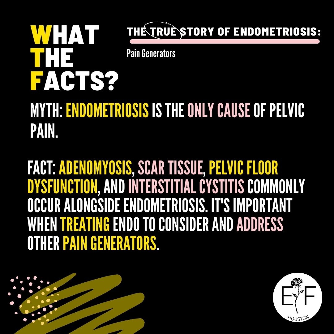 Not all pelvic pain is endometriosis pain.

#efhou #endometriosis #pelvicpain #pelvicpainawareness #pelvicpainawarenessmonth #paingenerators