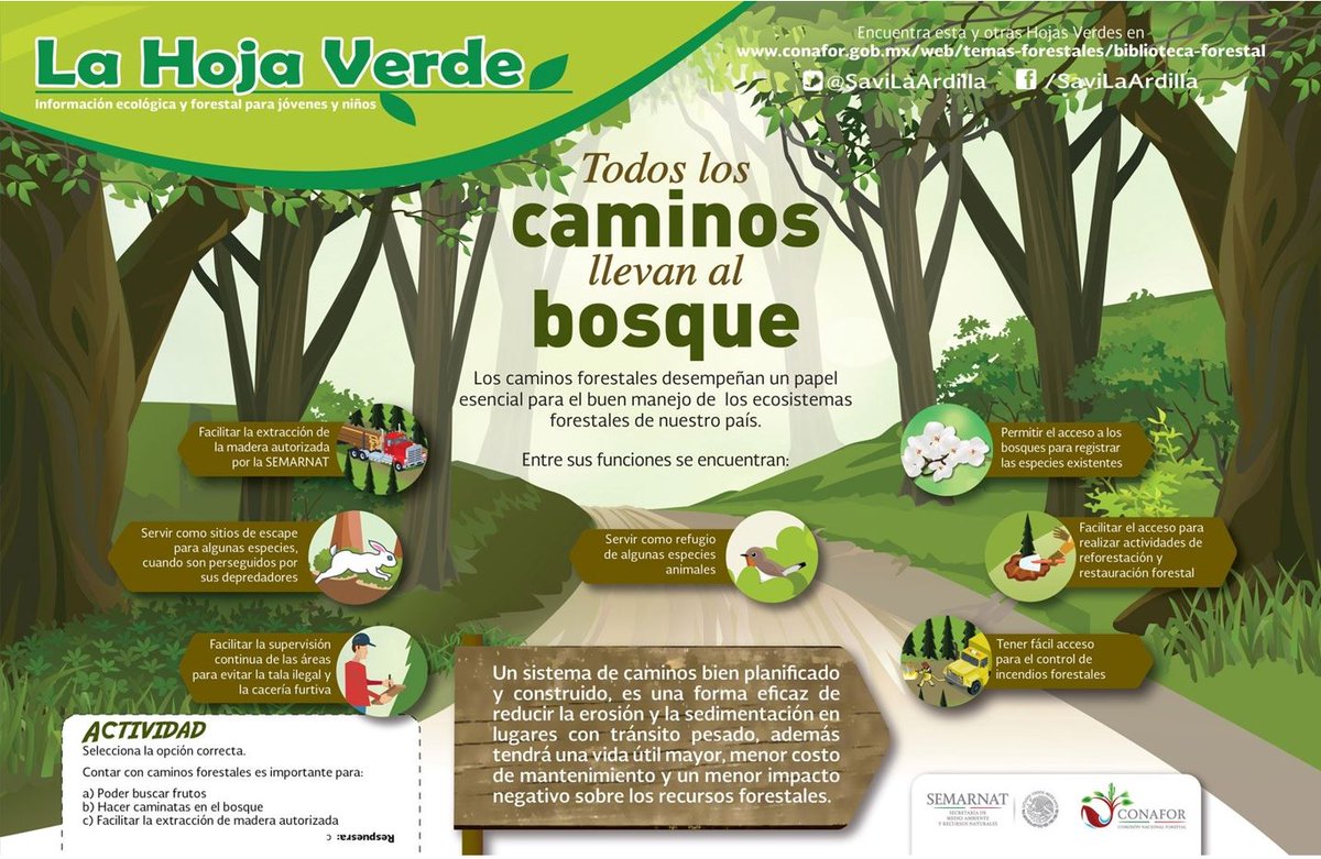 Comisión Forestal tweet media