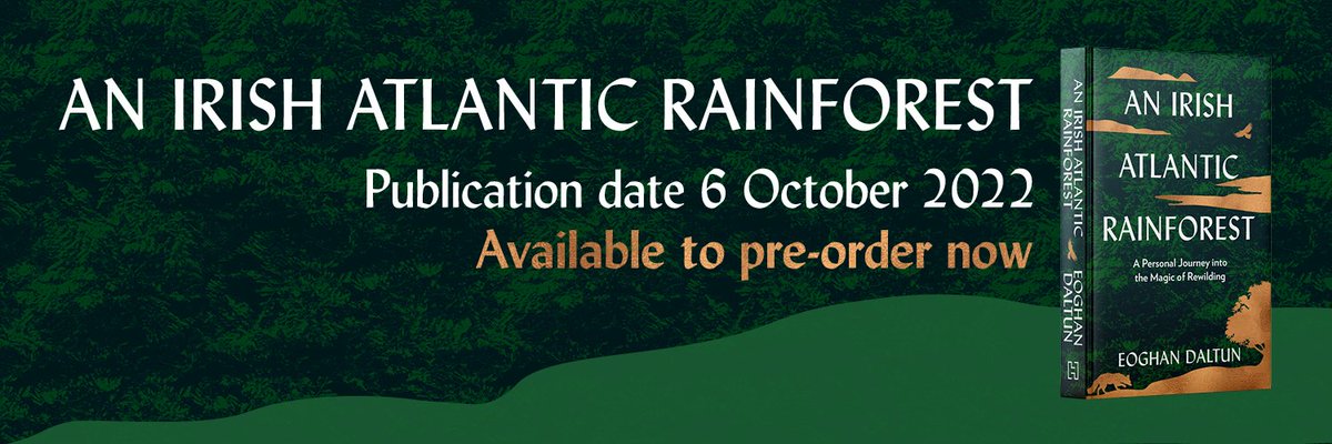 I'm *really, really* excited to announce I have a book coming out on 6 October: 'An Irish Atlantic Rainforest', which recounts my Beara #rewilding journey over the past 13 years.

Available to pre-order now!
linktr.ee/irishatlanticr…