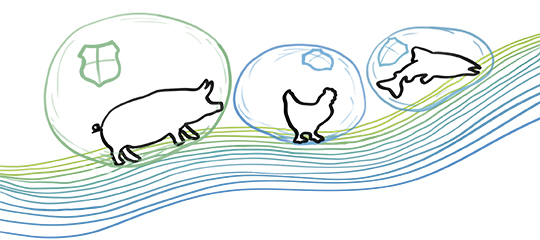 Interested in animals that adapt easily to different conditions and at the same time remain healthy and productive?  Sustainable animal breeding starts with resilient stock. Read more here bit.ly/38jJqbK

#HighQualityGenetics #ResilientAnimals #Sustainability