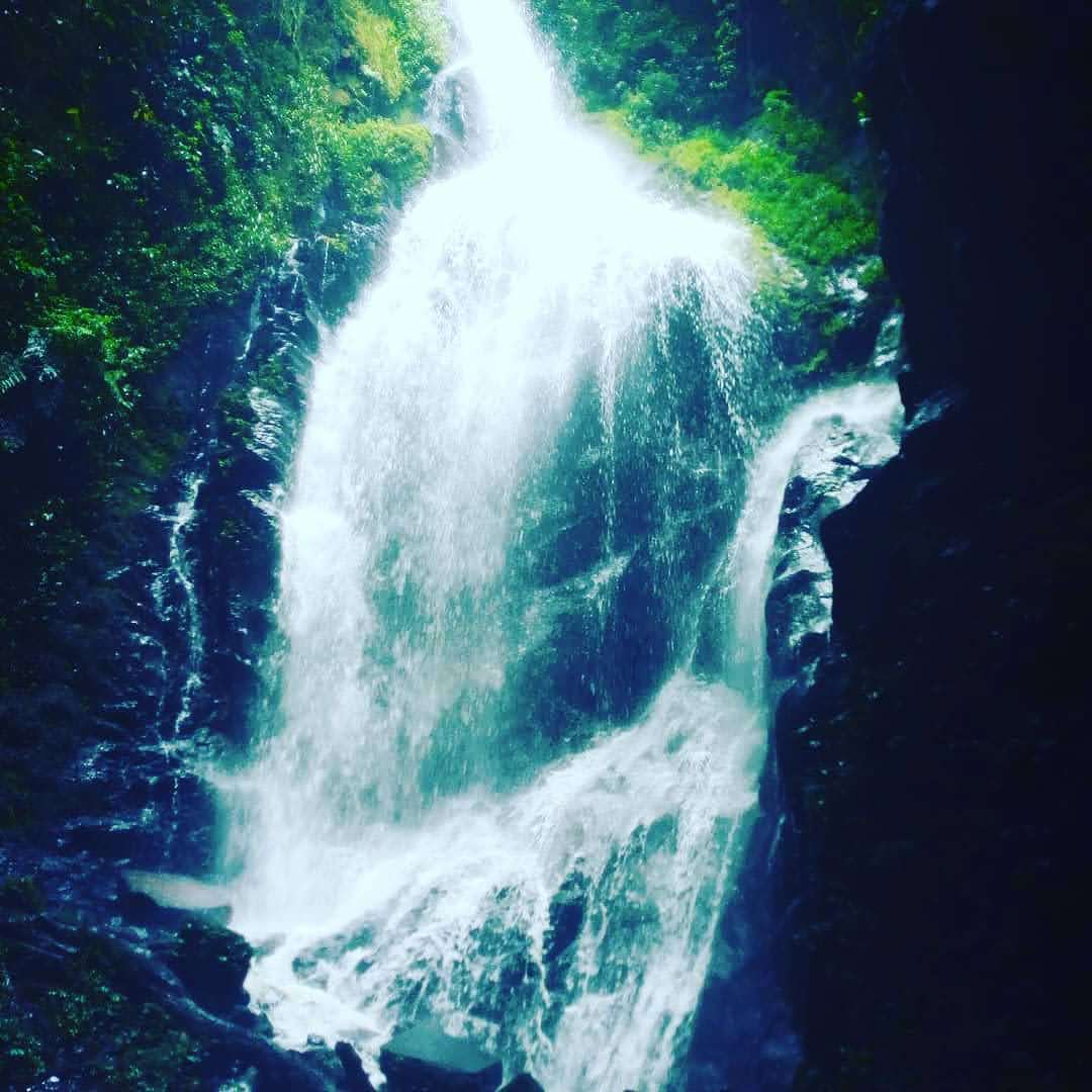 PloverTours's tweet photo. Deep within the ancient jungle is this great waterfall Bagyenda This is one of #Bwindi most refreshing points . After a long walk climbing up and down amidst trees and hills take a breath and stand here it's life warming.
#visituganda
#bwindi
#adventureUg
#plovertoursandtravel https://t.co/qY9c7Zhm4S