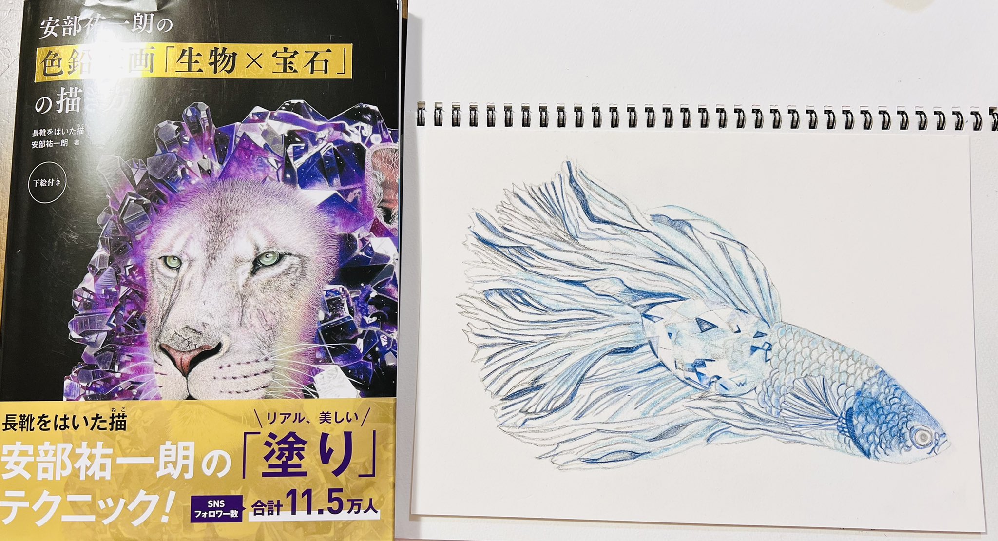 色鉛筆画 宝探しみたい！心が躍る色鉛筆画】 ReNEW宣伝部の米澤と津田です