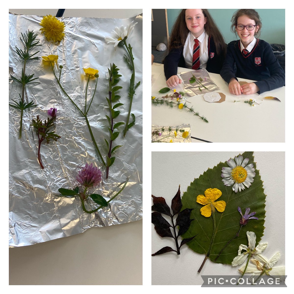 Another fun week in Eco Club 🌿🌺🌍