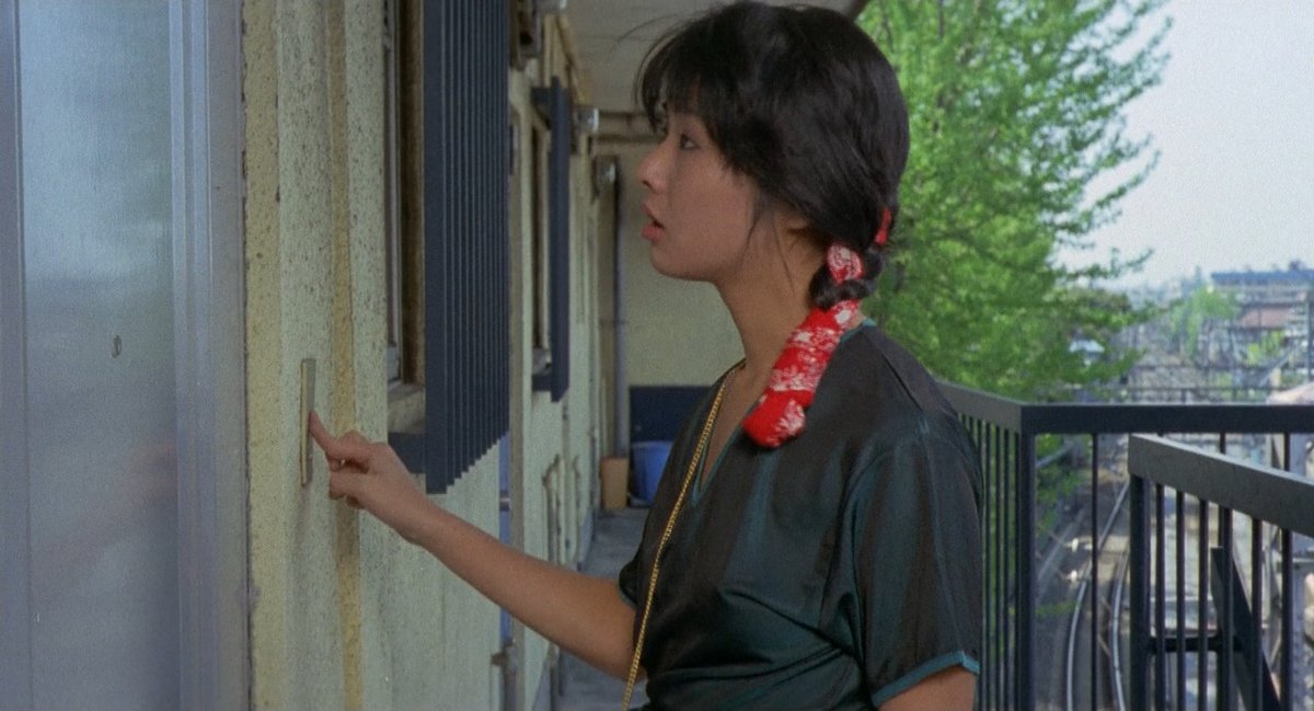 TokyoMillBot's tweet image. Pink Curtain (1982)