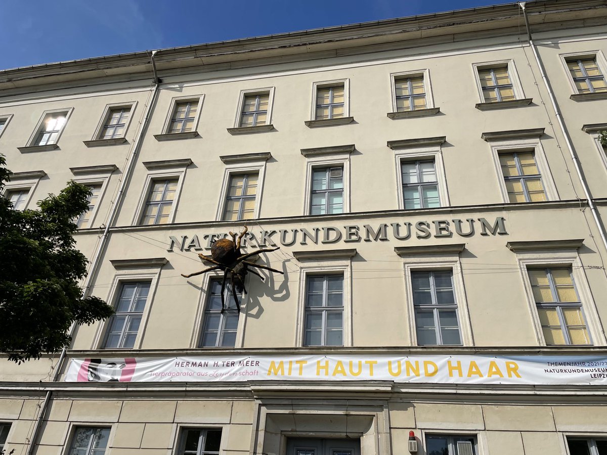 Humoreskes auf der Toilette ⁦<a href="/NKM_Leipzig/">Naturkundemuseum Leipzig</a>⁩, Bildungsauftrag mal anders!👍👍