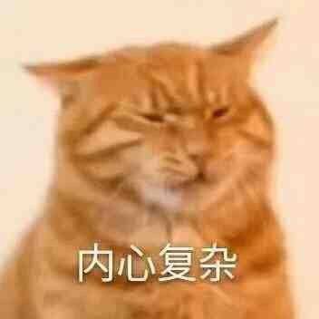 是喜欢小鱼的龙龙 tweet media