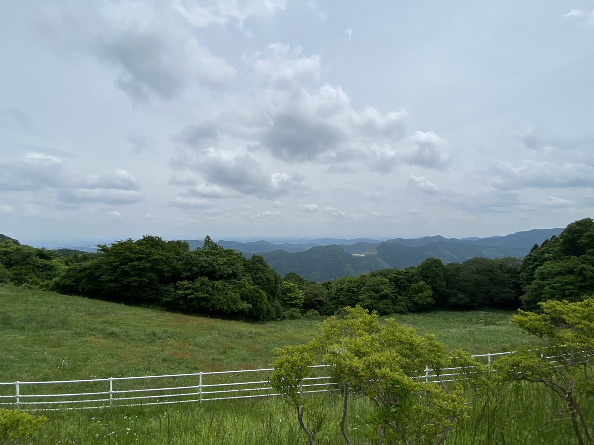yuureiren's tweet photo. 埼玉県秩父市に行ってきました🏍
山は涼しい、飯はうまい。良き

#バイク乗りと繋がりたい 
#バイク好きな人と繋がりたい 
#ホーネット250 https://t.co/JmpTp4XMcK