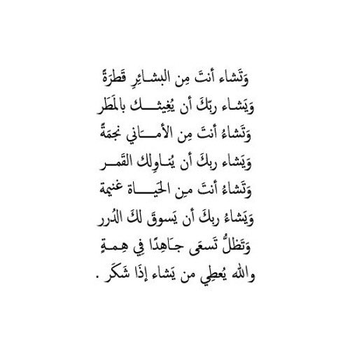 KHALED• tweet media