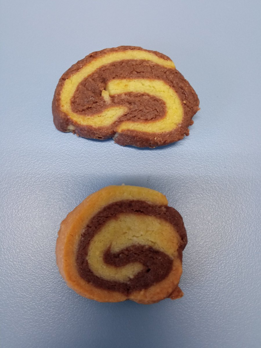 Aixa_V_Morales's tweet photo. In our lab , we LOVE this part of the brain: new neurons in the DG, social behaviour controlled by CA2... Delicious when It is made with butter, sugar and flour by @pilar_rguezm
#adultneurogenesis #LambShaffer @InstitutoCajal https://t.co/fd5yJ3mfqv