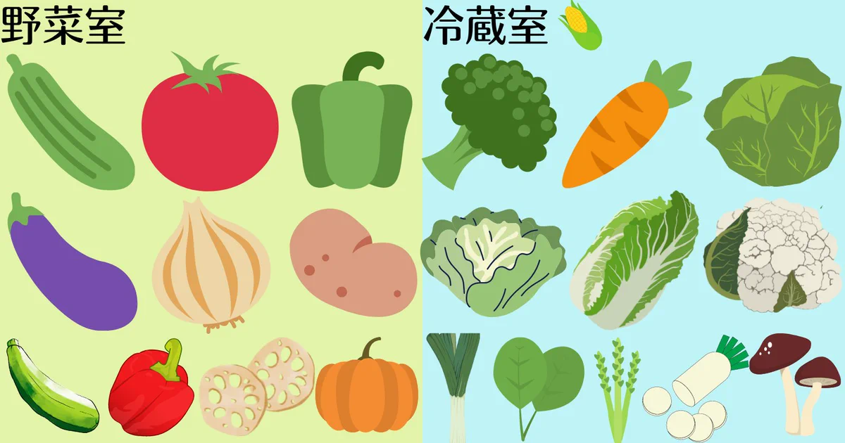 少しでも長持ちさせるために知っておきたい！野菜の適切な保存場所のまとめ！