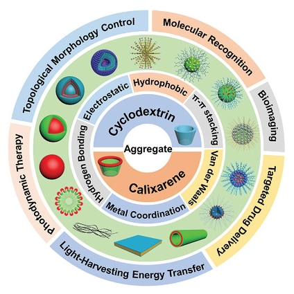 AggregateOA's tweet image. Highly Cited Paper🥳
"Luminescent metal nanoclusters: Biosensing strategies and bioimaging applications" by Dr. Yu Liu et al. @NKU1919 #cyclodextrin #calixarene #supramolecule #aggregate #nanocluster #biosensing #bioimaging 

Check👉doi.org/10.1002/agt2.3