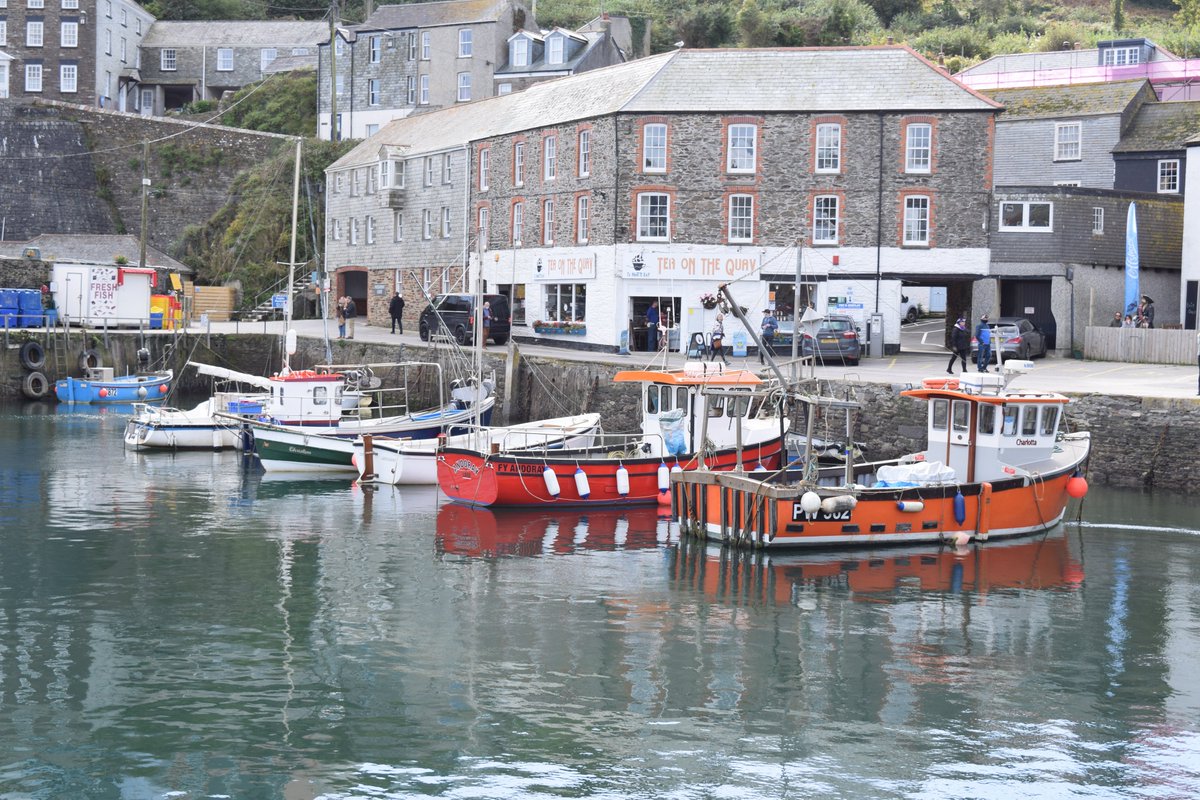 SourceBristol's tweet photo. Nestled on Cornwall's south coast, not far from Fowey and St Austell is the little fishing port of #Mevagissey. This week we have scallops, cornish crab, octopus & much more... ➡️ https://t.co/faPI31i7rt 🎣
#StAustell #Fish #Fishing #Cornwall #SourceFood #SourceBristol #Source https://t.co/3a7YyXlFGY