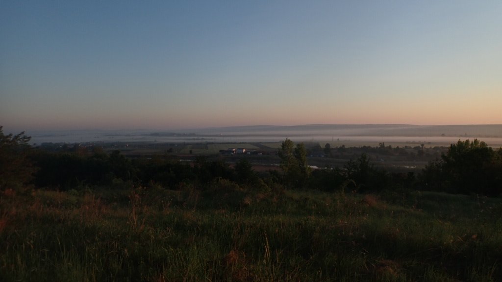 VojtechBrlik's tweet photo. Site 8 - in the wetlands of the river Siret very close to Ukrainian ๐บ๐ฆ borders and the very last site in Romania ๐ท๐ด.
We planned to sample in Ukraine too but ***** forced us to change the plans... ๐
13/n
#StandWithUkraine #ExpeditionGradient https://t.co/kasHx5kTaU