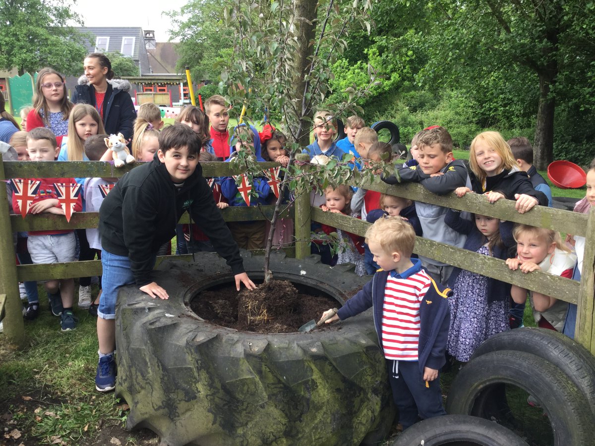 MoorFirst's tweet photo. As part of our Jubilee celebrations, the oldest and youngest members of our school have planted a love apple tree  in  our  school  ground  🌳 Massive  thank  you  to  @ProctorsNursery for  donating  the  tree  to  our  school,  we  can’t   wait  to  watch  it  grow.😊🇬🇧👸🏼 https://t.co/1FzCYMegvT