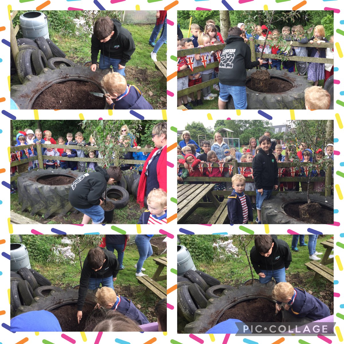 Moor First School (@moorfirst) on Twitter photo As part of our Jubilee celebrations, the oldest and youngest members of our school have planted a love apple tree in our school ground ๐ณ Massive thank you to <a href="/ProctorsNursery/">๐บ Proctor's Nursery ๐ธ</a> for donating the tree to our school, we canโt wait to watch it grow.๐๐ฌ๐ง๐ธ๐ผ As part of our Jubilee celebrations, the oldest and youngest members of our school have planted a love apple tree in our school ground ๐ณ Massive thank you to <a href="/ProctorsNursery/">๐บ Proctor's Nursery ๐ธ</a> for donating the tree to our school, we canโt wait to watch it grow.๐๐ฌ๐ง๐ธ๐ผ