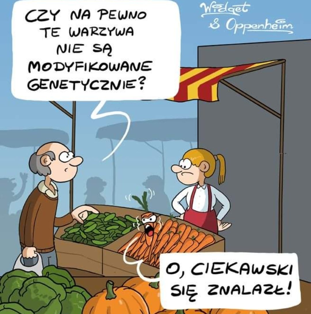 ciekawemomenty's tweet image. Ciekawe co my tak naprawdę jemy #egzaminosmoklasisty2022 #Food #marchew #MODIfication