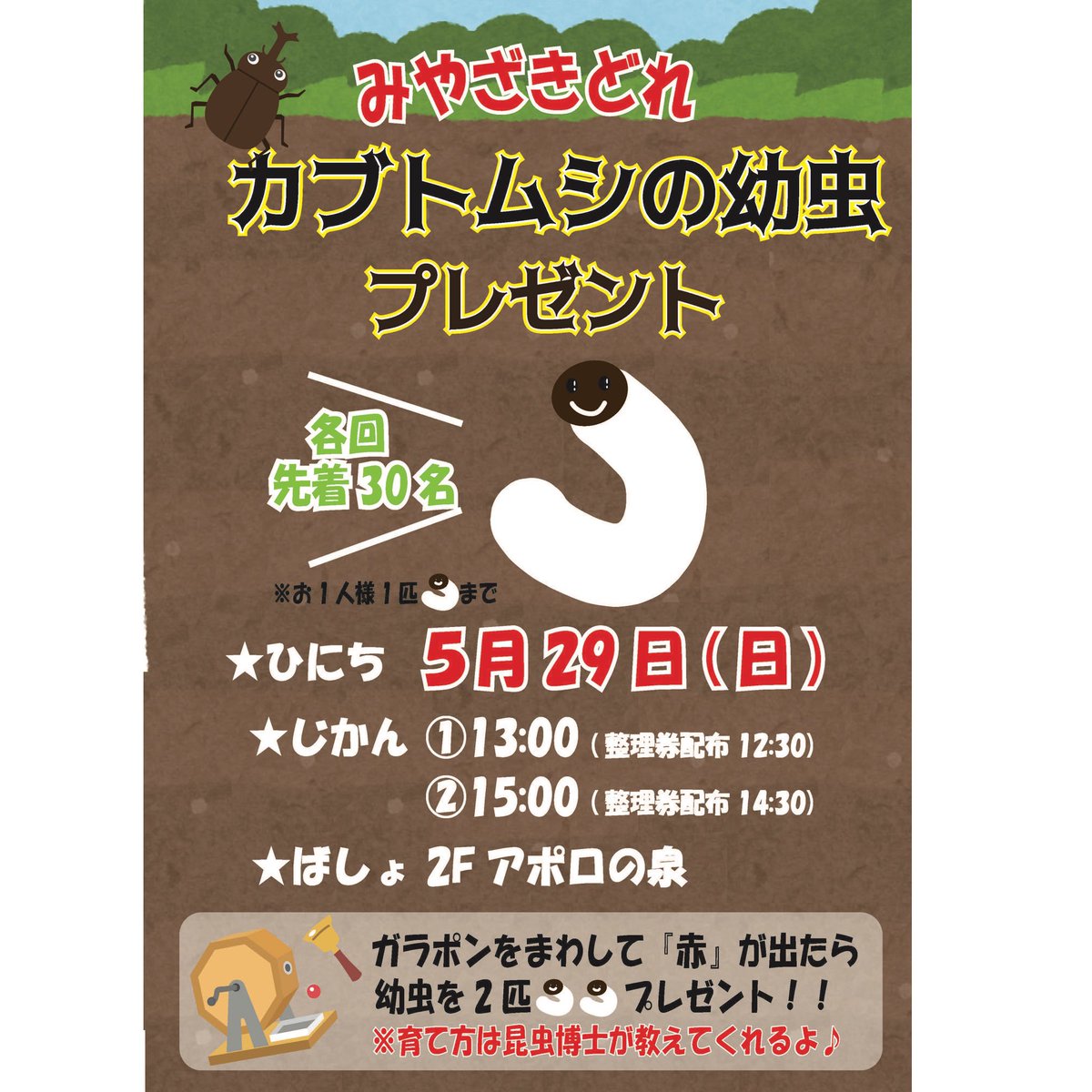 miyakocity's tweet photo. 5/29(日) 2階アポロの泉にて、カブトムシの幼虫プレゼント🎁✨ https://t.co/zWQSew2rRE
