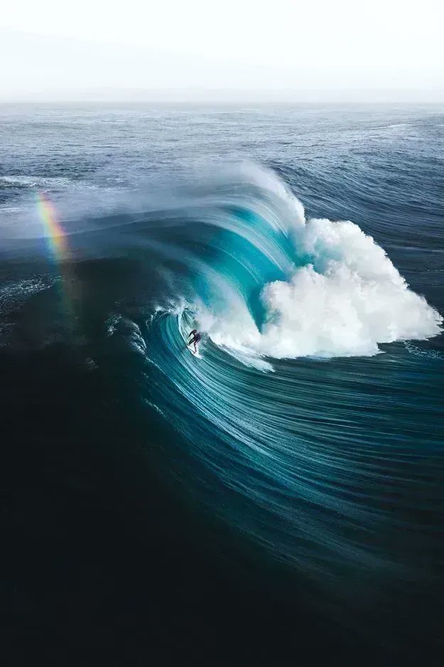 fubiz's tweet photo. Ocean Photographer of The Year https://t.co/73Y2pSuNCh https://t.co/OTxhmeNfr3