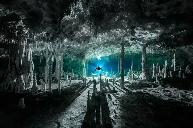 fubiz's tweet photo. Ocean Photographer of The Year https://t.co/73Y2pSuNCh https://t.co/OTxhmeNfr3
