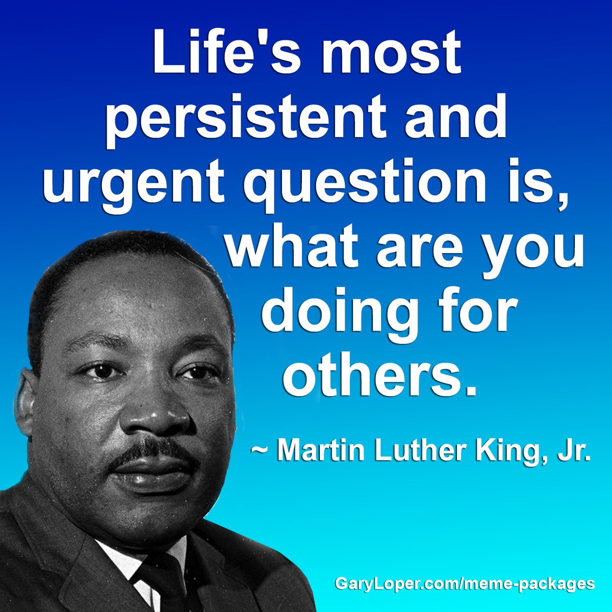 Caryl Loper tweet media