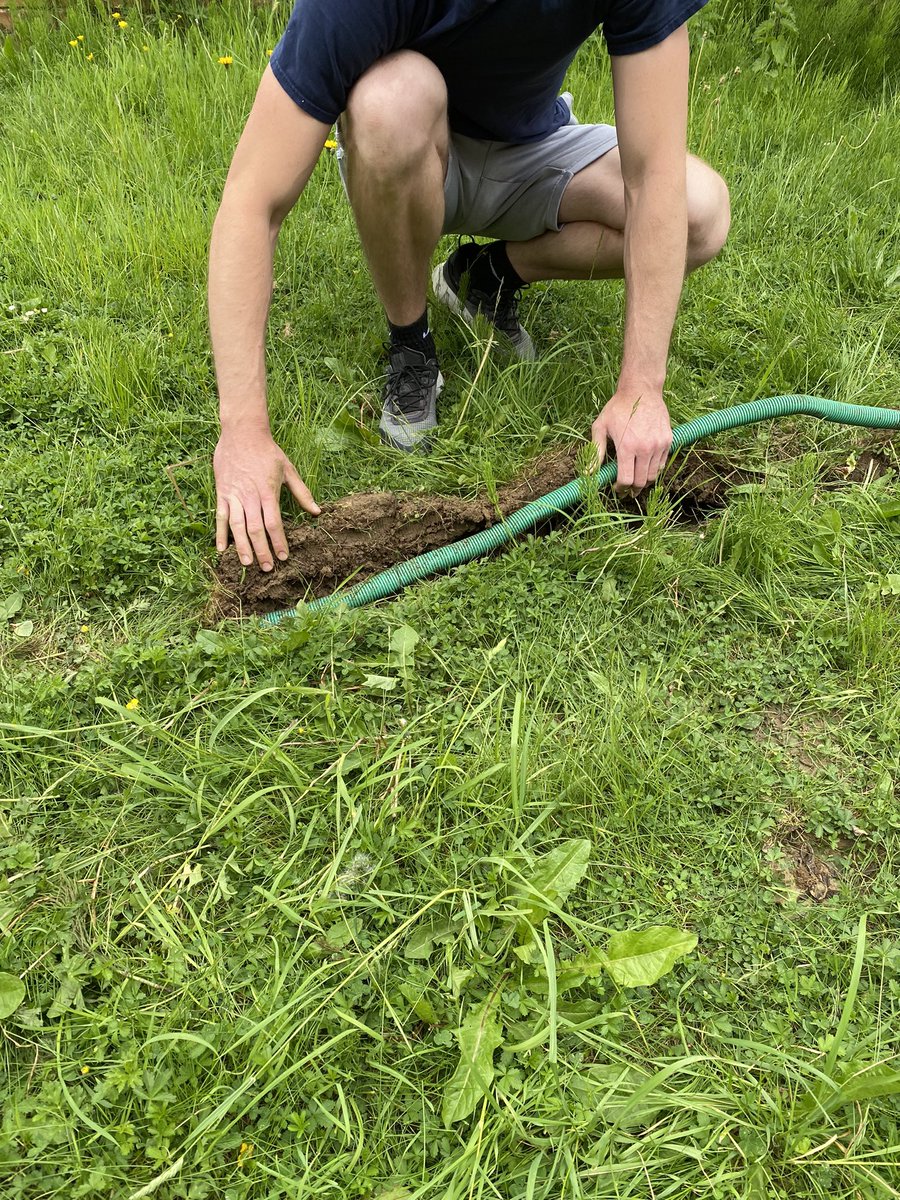 harriettbloom's tweet photo. @virginmedia Good Morning. I have returned to holiday to find your workmen have ripped my front garden up without permission and not carried out full repairs to my garden https://t.co/Y2JluAmxVu