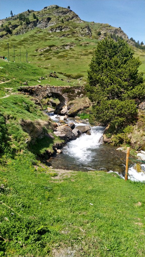 UnicPhoto tweet picture