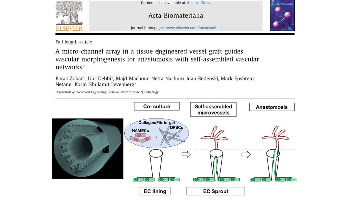 Lior Debbi (@debbilior) on Twitter photo Happy to share our latest research paper just published in <a href="/ActaBio/">Acta Biomaterialia</a> !
Check out our work: doi.org/10.1016/j.actb… Happy to share our latest research paper just published in <a href="/ActaBio/">Acta Biomaterialia</a> !
Check out our work: doi.org/10.1016/j.actb…